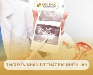 3 nguyên nhân chuyển phôi IVF thất bại nhiều lần: Biện pháp khắc phục?